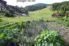 jardins potagers en été