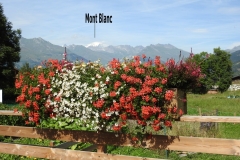 quelle vue depuis la station de Montchavin la plagne