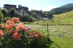 montchavin fleuri en été